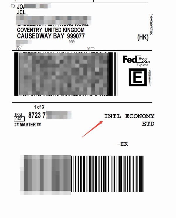 FEDEX经济快递运单样本