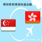 新加坡到香港快递运输服务
